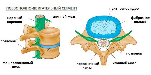 Воротник Шанца помогает зафиксировать позвоночно-двигательные сегменты в шейном отделе