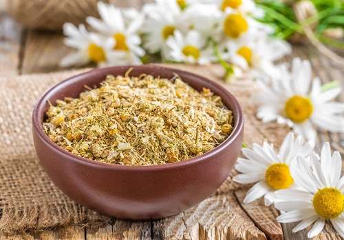 Сбор трав от геморроя