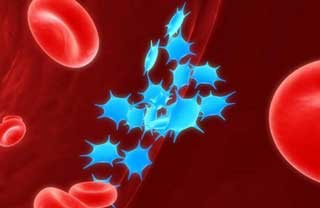 склеивание тромбоцитов