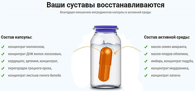 В состав Sustalife включены исключительно натуральные компоненты