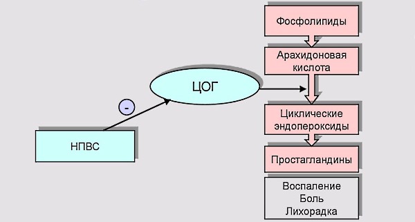 Напроксен нарушает синтез простагландинов