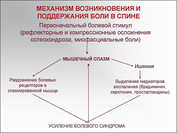 Препарат помогает устранить боли в спине различного происхождения