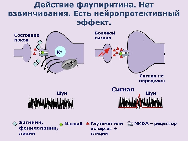 После приема Нолодатака происходит замедление рецепторов NMDA