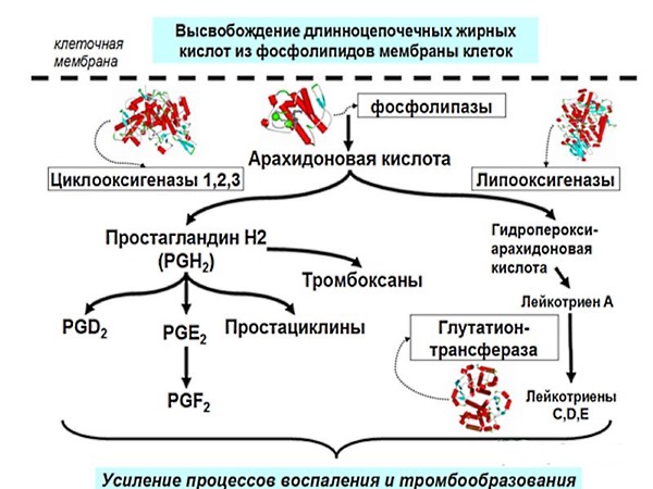 Назначают препарат при различных воспалительных процессах