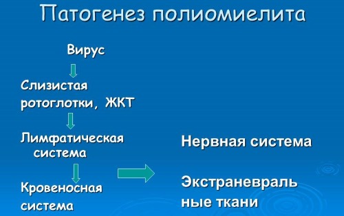Чаще всего полиомиелитом страдают дети, которые не прошли вакцинацию от вируса
