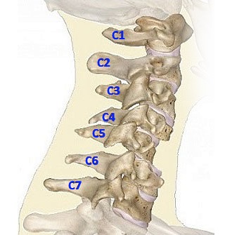 Локализация боли зависит от того, в каком месте произошло защемление нерва