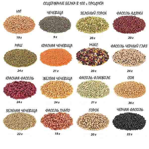 Белок в бобовых