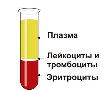 состав крови