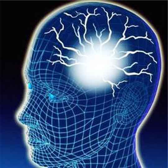 сосуды мозга