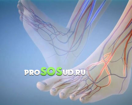 сосуды стоп ног