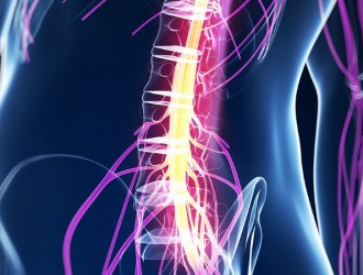 Самое опасное последствие расщепления позвоночника - повреждение спинного мозга