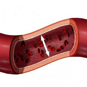 стенки сосудов