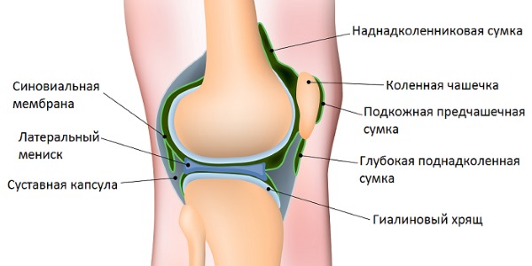 Искусственный имплант Суплазин восстанавливает вязкость синовиальной жидкости