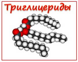 триглицериды