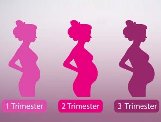 В 1 и 3 триместре беременности прием Аскофен-П запрещен