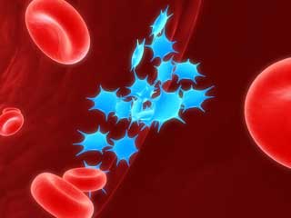 тромбоциты в крови