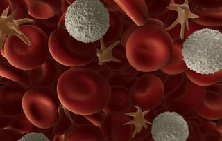 тромбоциты