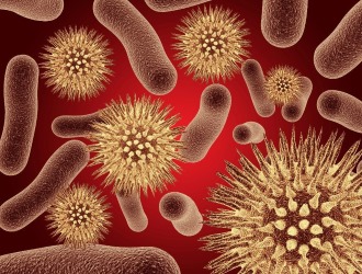 Стоит обратить внимание, что некоторые венерические заболевания сопровождаются болевым синдромом в области крестца и копчика