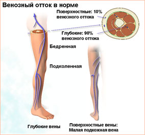 венозный отток