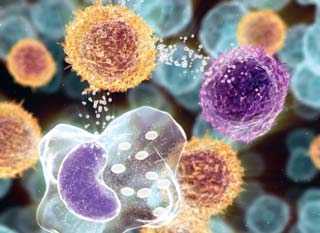 воспалительный процесс