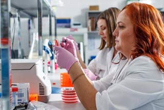 врач исследует кровь