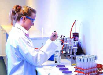 врач исследует кровь