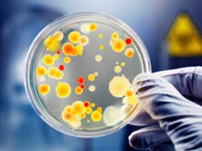 врач смотрит анализы крови