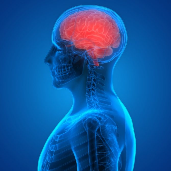 Всё о поражении головного мозга