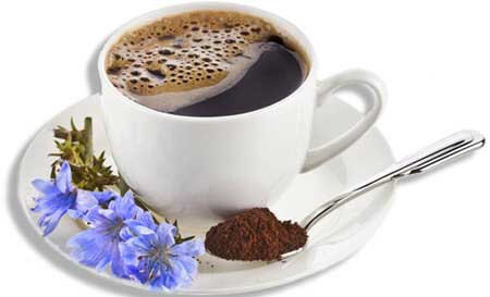 заваренный цикорий