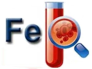 железо в крови