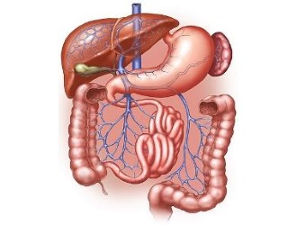 Наличие проблем с ЖКТ и печенью являются противопоказанием к использованию средства