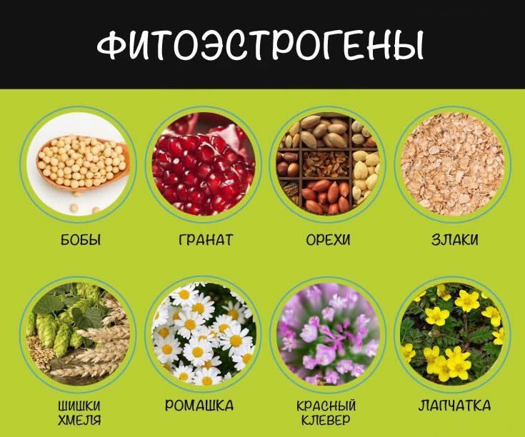 продукты с фитоэстрогенами продукты с фитоэстрогенами