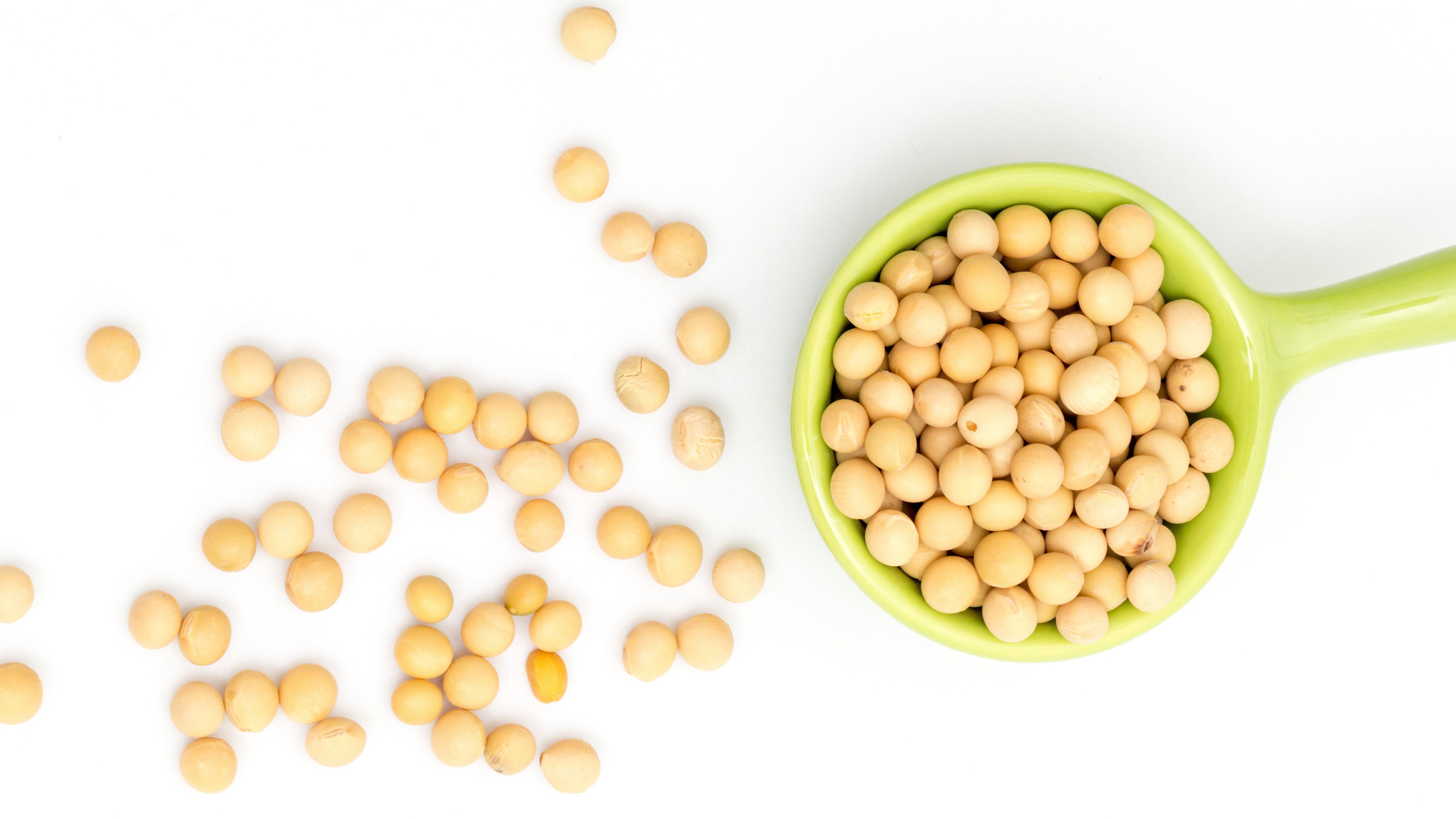 соевые бобы соевые бобы