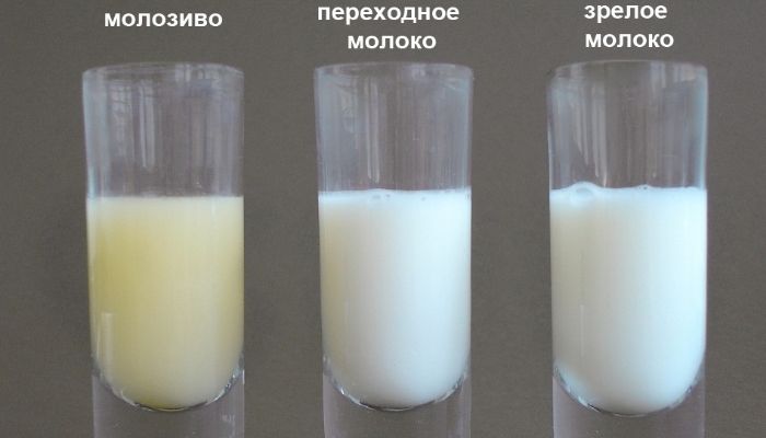 Виды молока