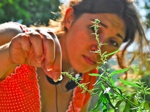 средство от аллергии на амброзию