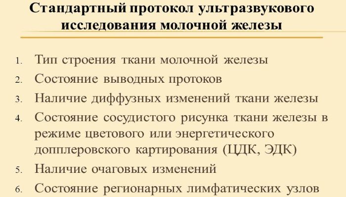 Протокол УЗИ