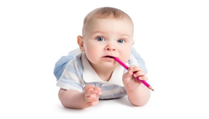 Ест карандаш