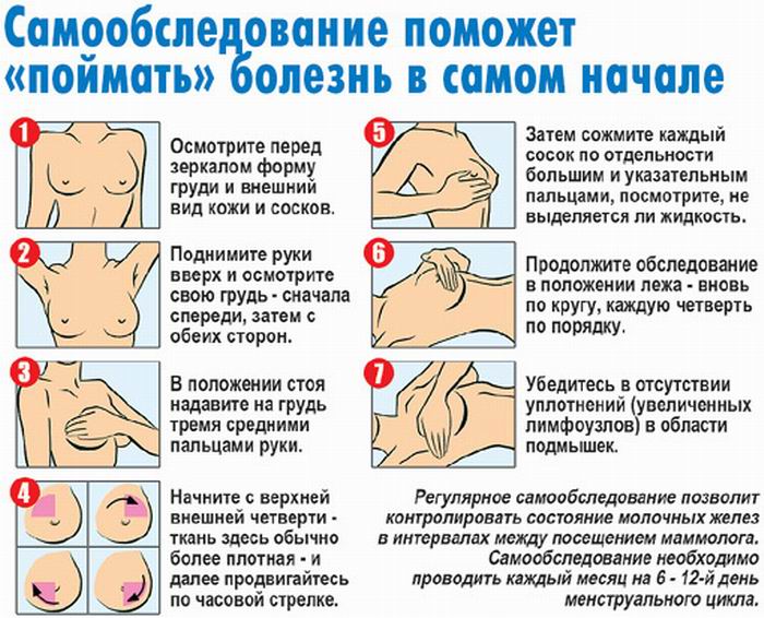 Правила самообследования молочных желез Правила самообследования молочных желез