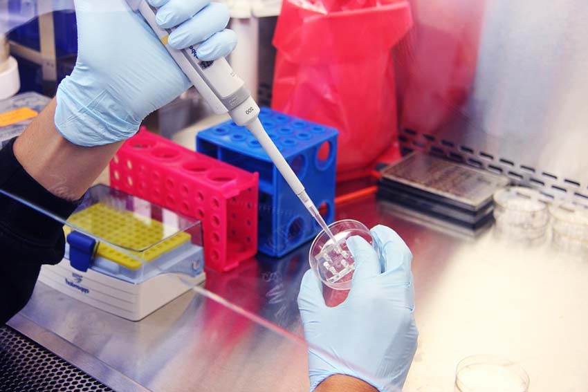 Анализы биоматериала