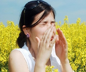 укол от аллергии на амброзию