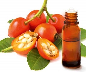 масло шиповника цена в аптеке