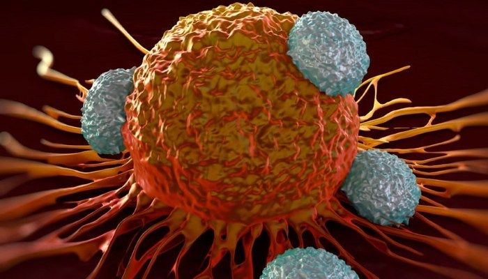 Раковые клетки