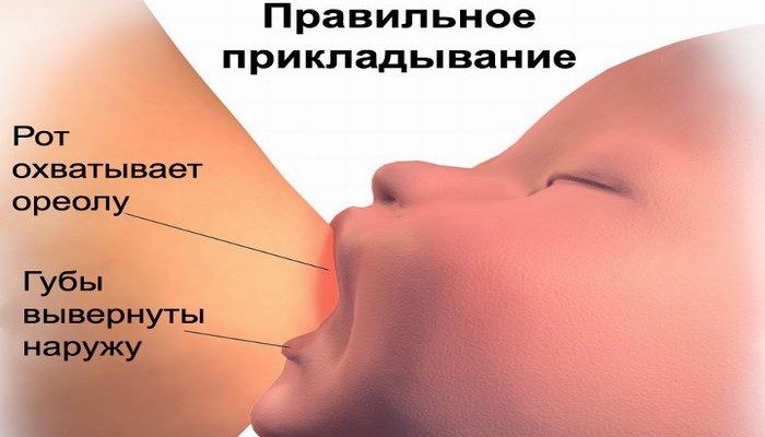 Правильное прикладывание ребенка