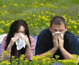 препараты от аллергии на амброзию