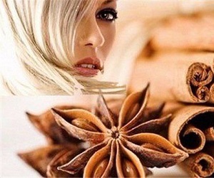 корица отзывы