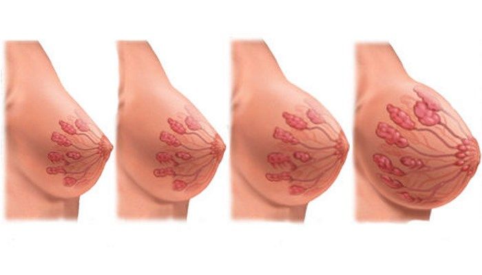 Изменение груди во время беременности