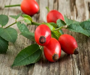 масло шиповника в косметологии