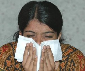 аллергия на пыль