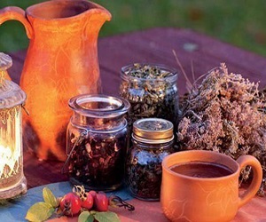 сезонная аллергия лечение народными средствами