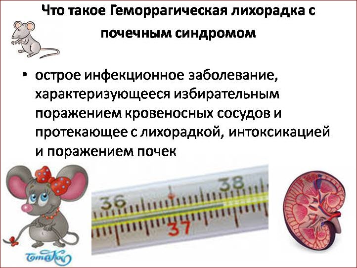 Геморрагическая лихорадка с почечным синдромом
